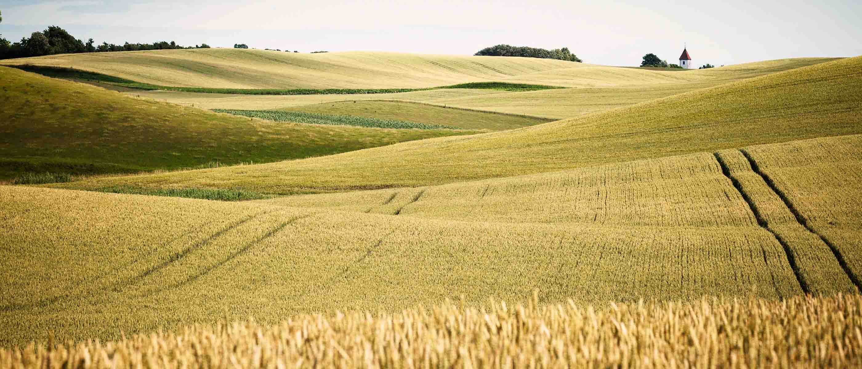 Nybolig Landbrug Mikkel Henriksen