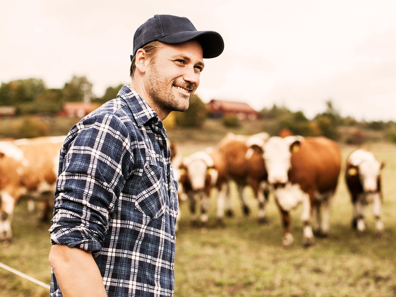 Landmand på mark med køer i baggrunden i dansk landbrug og landdistriktsmiljø