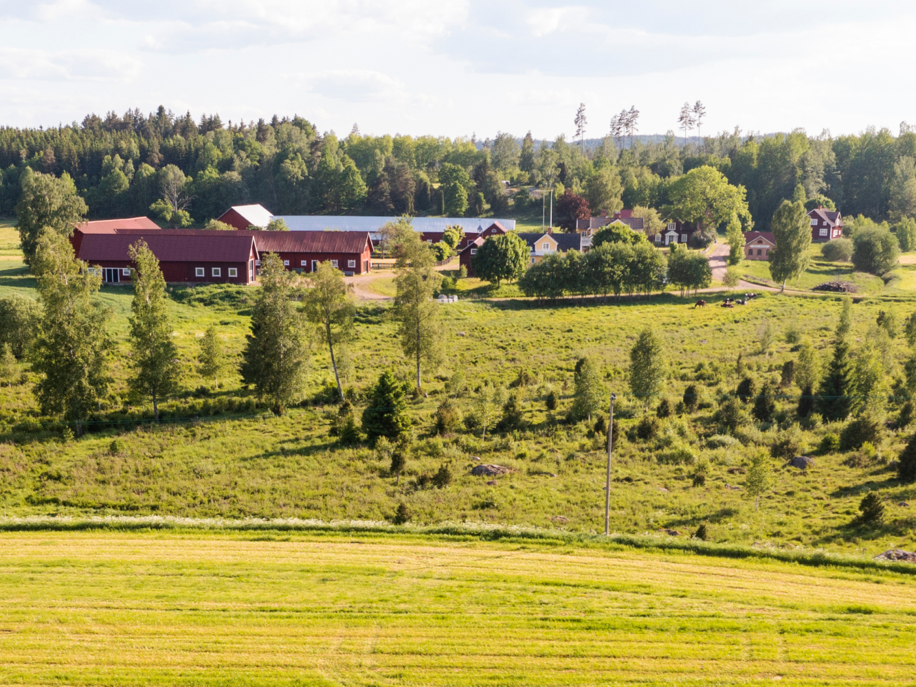 landskab med gård