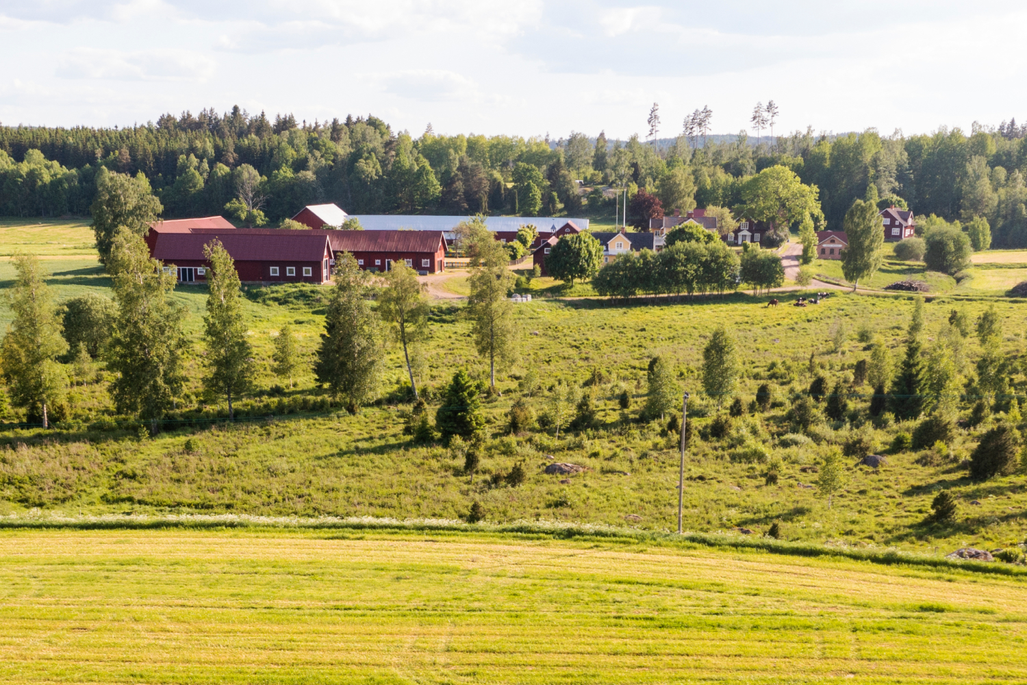 Landskab med gård mobil