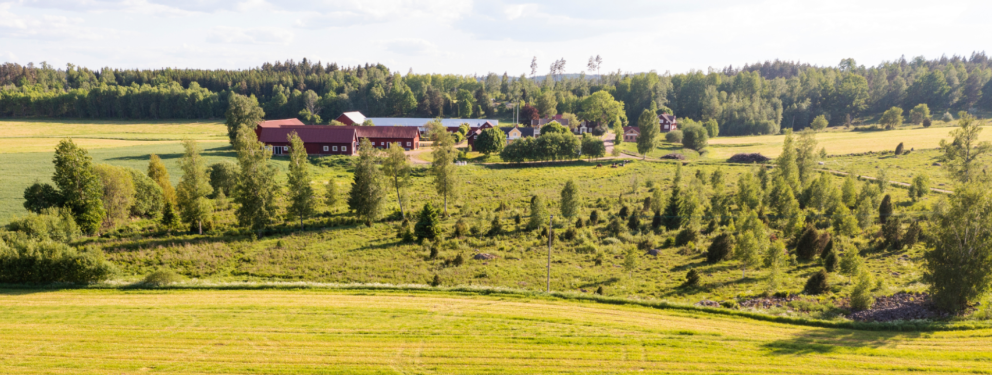 Landskab med gård