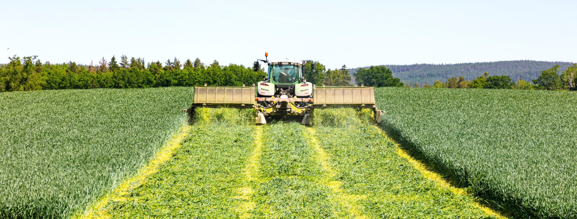 Mejetærsker på en grøn mark